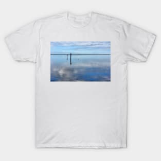 Where Nature Meets T-Shirt